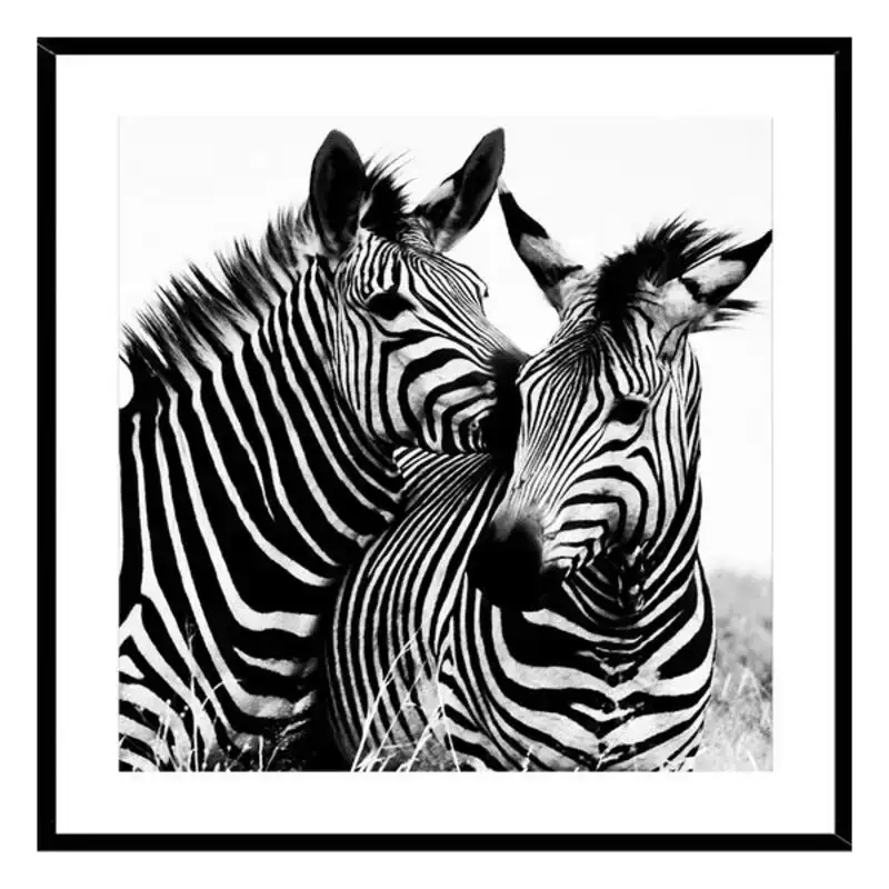 Cadre zebre verre 2 x 50 x 50 cm _6405. DIAYTAR COTE D'IVOIRE - Là où Chaque Produit Est une Trouvaille. Explorez notre sélection minutieuse et découvrez des articles qui correspondent à votre style de vie et à vos aspirations.