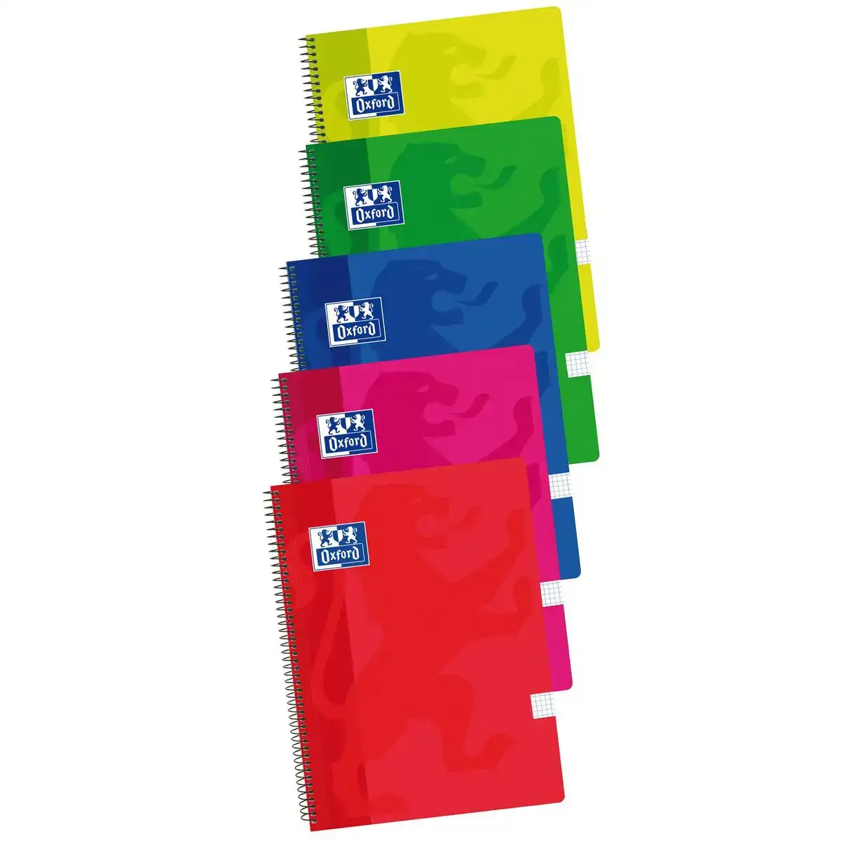 Cahier oxford multicouleur a4 5 unites_6806. DIAYTAR COTE D'IVOIRE - Votre Plateforme pour un Shopping Inspiré. Explorez nos offres variées et découvrez des articles qui stimulent votre créativité et embellissent votre vie.