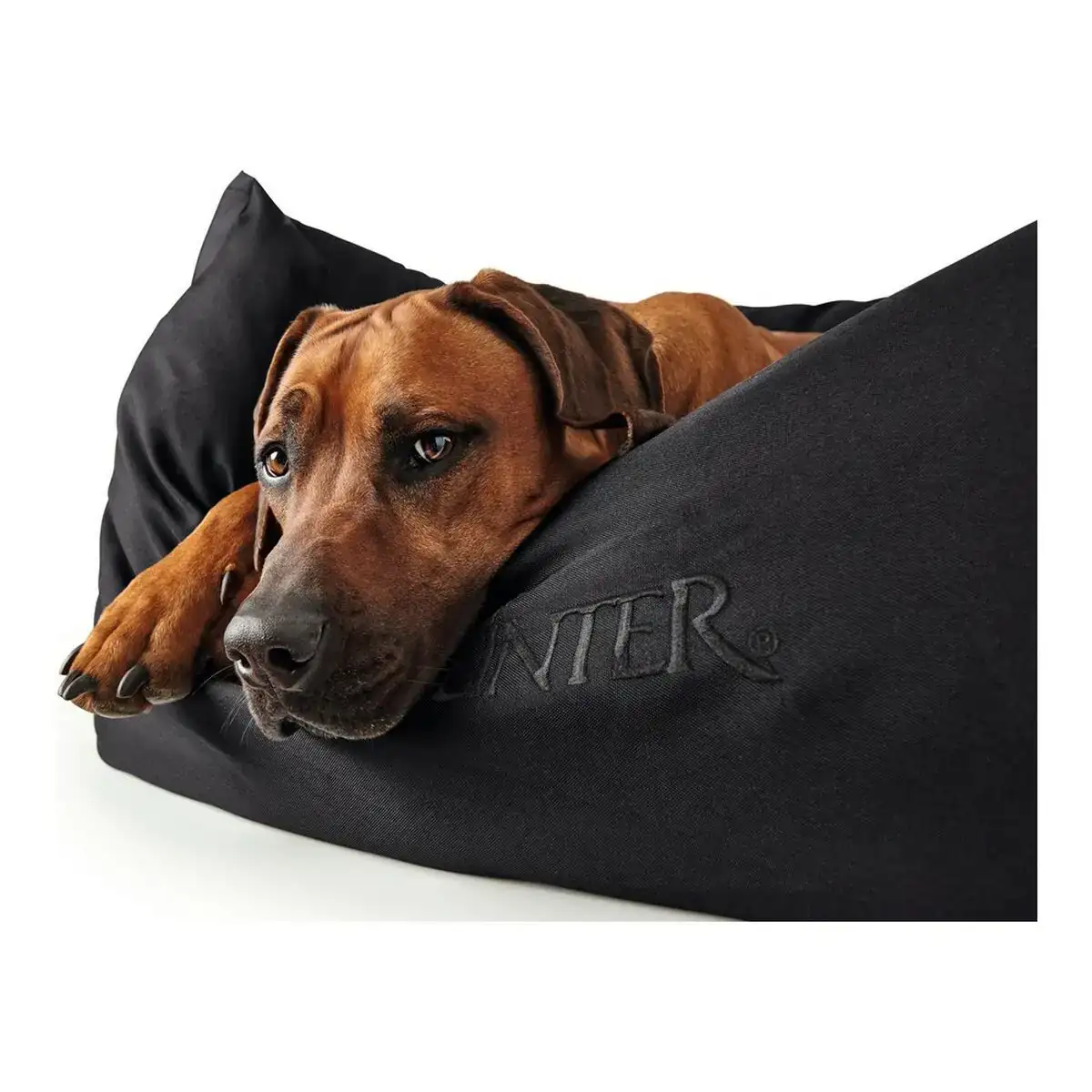 Canape pour chien hunter gent noir polyester black 60 x 45 cm _8096. DIAYTAR COTE D'IVOIRE - L'Univers de l'Élégance Accessible. Plongez dans notre catalogue et choisissez des produits qui allient sophistication et accessibilité pour un shopping exquis.