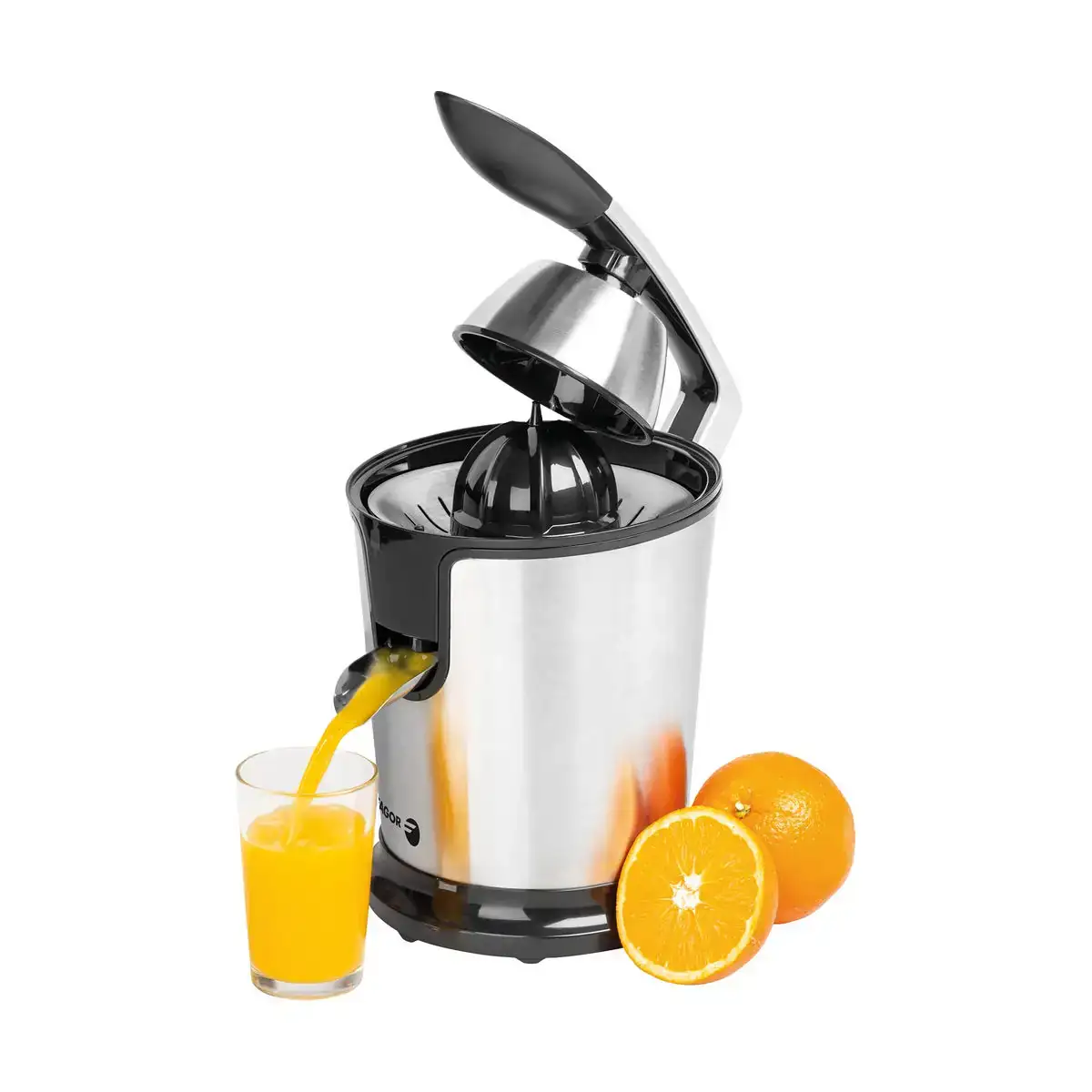 Centrifugeuse electrique fagor fge618g gris 300 w_8265. DIAYTAR COTE D'IVOIRE - L'Art de Vivre l'Excellence au Quotidien. Explorez notre gamme et choisissez des produits qui ajoutent une note de prestige à votre vie.