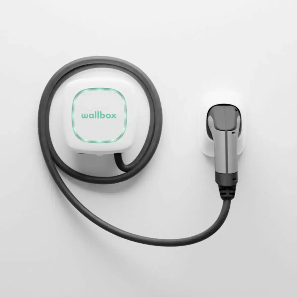 Chargeur de batterie wallbox pulsar plus 7 4w t2_3979. DIAYTAR COTE D'IVOIRE - Votre Destinée Shopping Personnalisée. Plongez dans notre boutique en ligne et créez votre propre expérience de shopping en choisissant parmi nos produits variés.