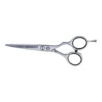 Ciseaux pour cheveux corvus line eurostil 55 corvus 5 5 _2371. Bienvenue chez DIAYTAR COTE D'IVOIRE - Où le Shopping Devient un Voyage. Explorez notre plateforme pour dénicher des produits uniques, racontant l'histoire et l'âme du Côte d'Ivoire.