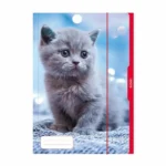 Classeur herlitz a3 reconditionne b _6560. DIAYTAR COTE D'IVOIRE - Un Monde de Possibilités à Portée de Clic. Parcourez notre site web pour découvrir des sélections infinies, de l'épicerie aux bijoux, et vivez une expérience d'achat sans pareil.