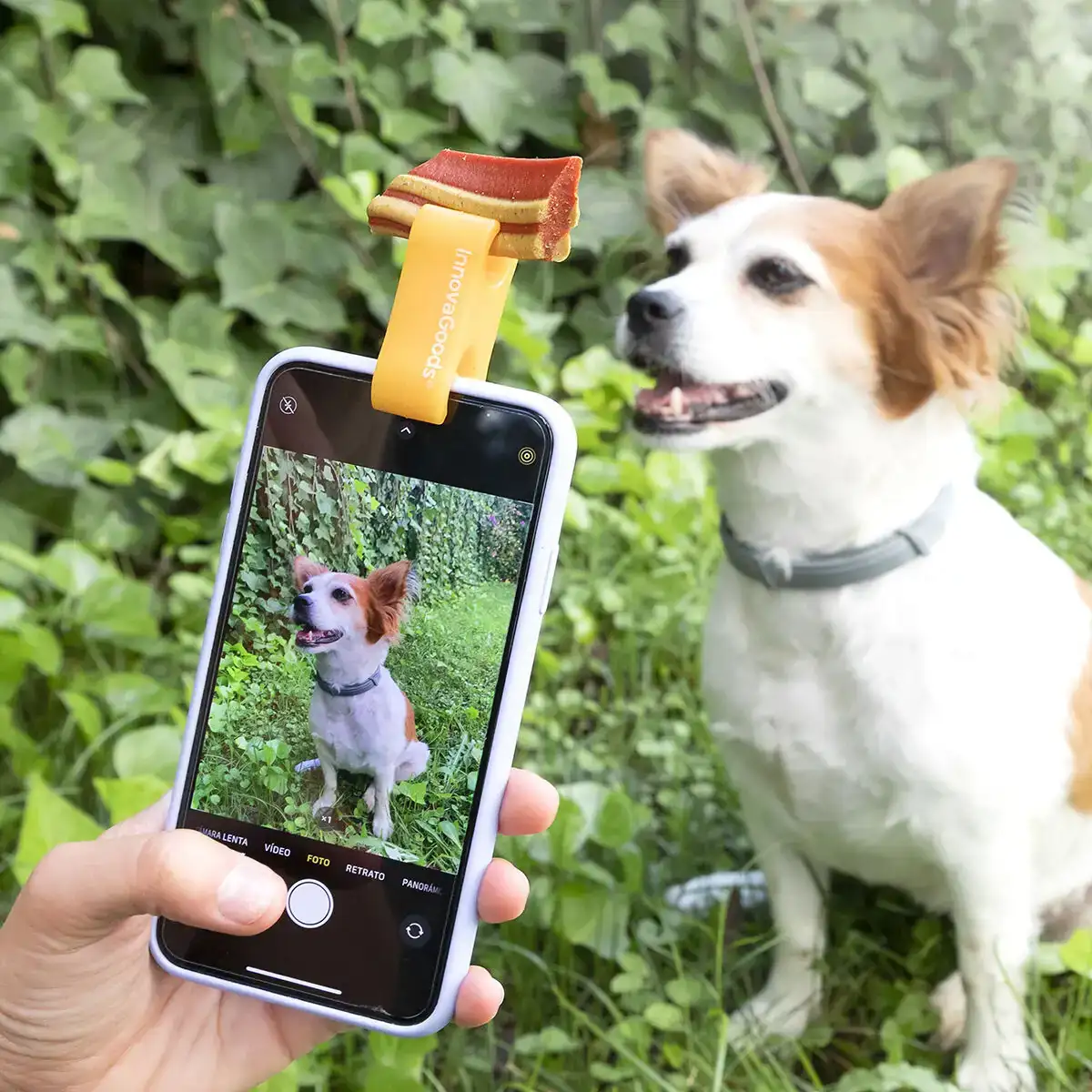 Clip pour selfies pour animaux familiers pefie innovagoods_4121. DIAYTAR COTE D'IVOIRE - Là où Chaque Achat a du Sens. Explorez notre gamme et choisissez des produits qui racontent une histoire, du traditionnel au contemporain.