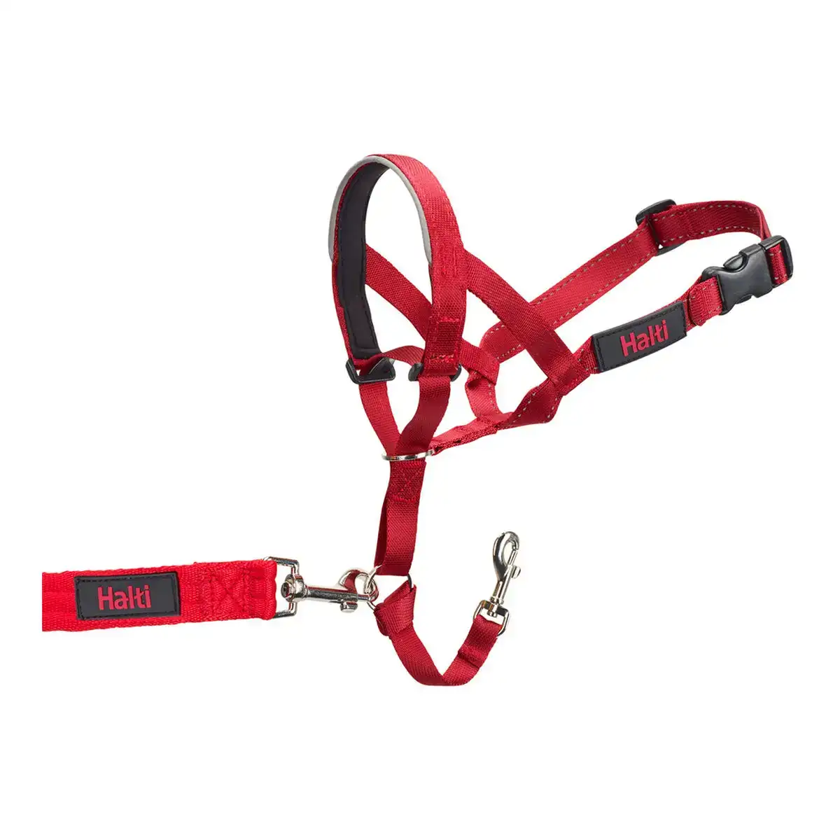 Collier d entrainement pour chiens company of animals halti museliere 46 62 cm _2934. DIAYTAR COTE D'IVOIRE - Là où Chaque Achat a du Sens. Explorez notre gamme et choisissez des produits qui racontent une histoire, votre histoire.