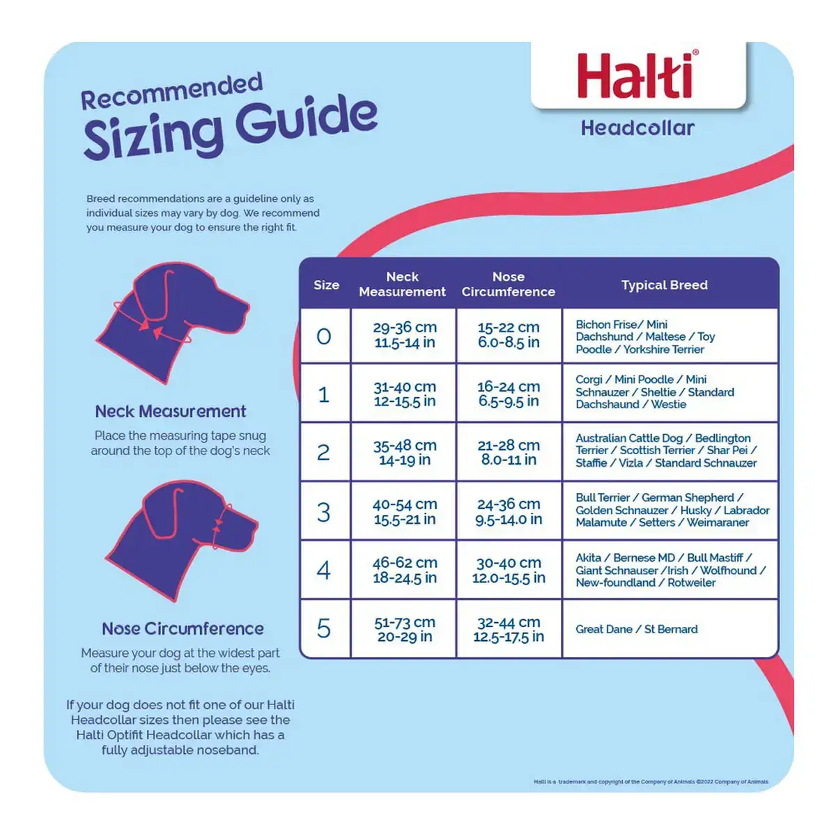 Collier d entrainement pour chiens company of animals halti noir museliere 31 40 cm _6532. Bienvenue sur DIAYTAR COTE D'IVOIRE - Où le Shopping est une Affaire Personnelle. Découvrez notre sélection et choisissez des produits qui reflètent votre unicité et votre individualité.