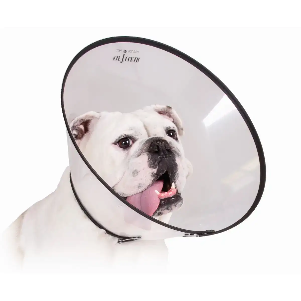 Collier de protection isabelino pour chiens kvp saf t clear 38 63 cm _5156. Bienvenue chez DIAYTAR COTE D'IVOIRE - Où Chaque Objet a son Histoire. Découvrez notre sélection méticuleuse et choisissez des articles qui racontent l'âme du Côte d'Ivoire.