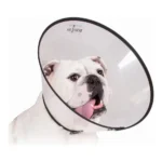 Collier de protection isabelino pour chiens kvp saf t clear transparent 22 43 cm _2719. DIAYTAR COTE D'IVOIRE - L'Art du Shopping Éclairé. Parcourez notre catalogue et choisissez parmi des produits de qualité qui satisferont vos besoins et votre style.