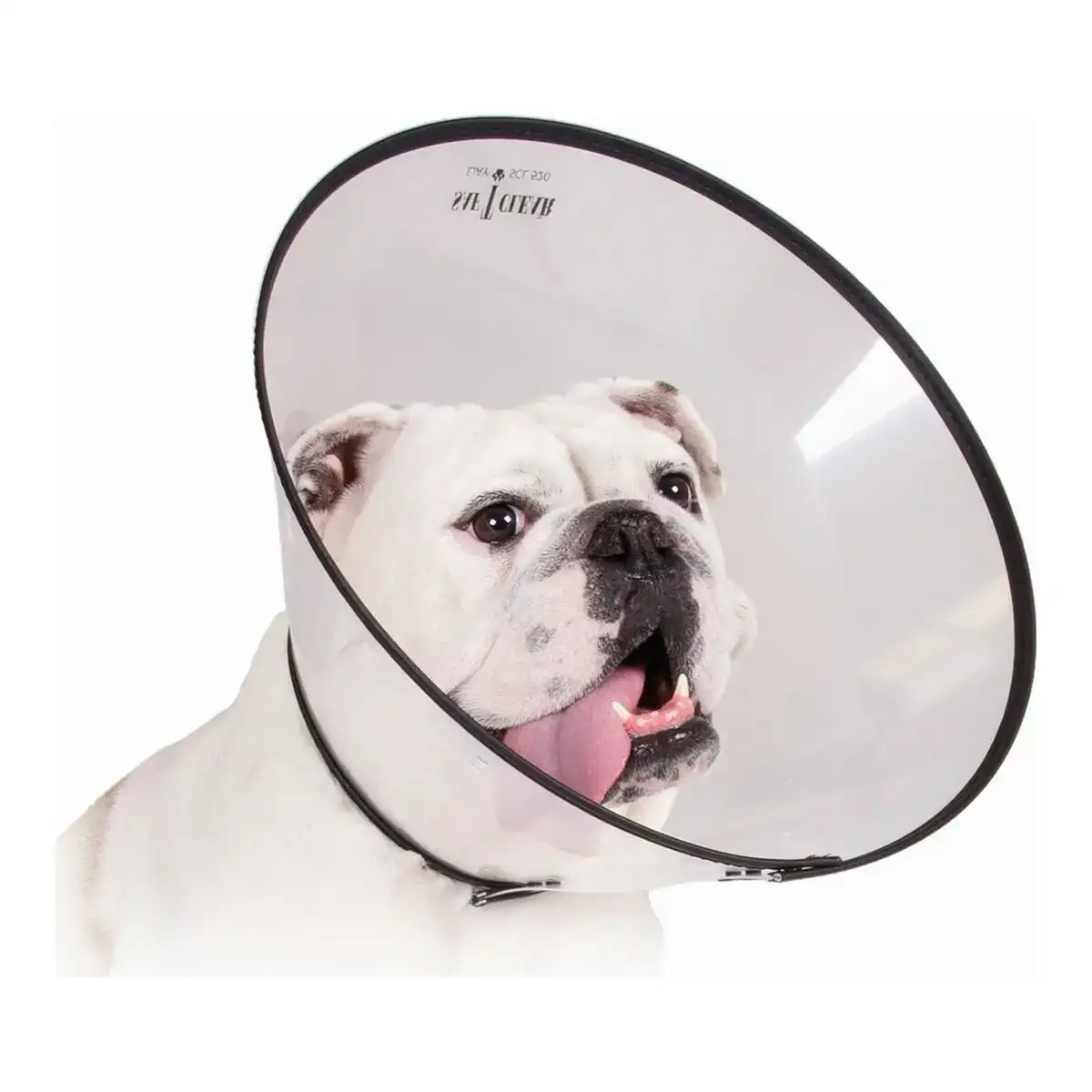 Collier de protection isabelino pour chiens kvp saf t clear transparent 25 38 cm _6380. DIAYTAR COTE D'IVOIRE - Où l'Élégance se Mêle à l'Authenticité. Naviguez à travers notre boutique en ligne et choisissez des produits qui incarnent le style et la tradition du Côte d'Ivoire.