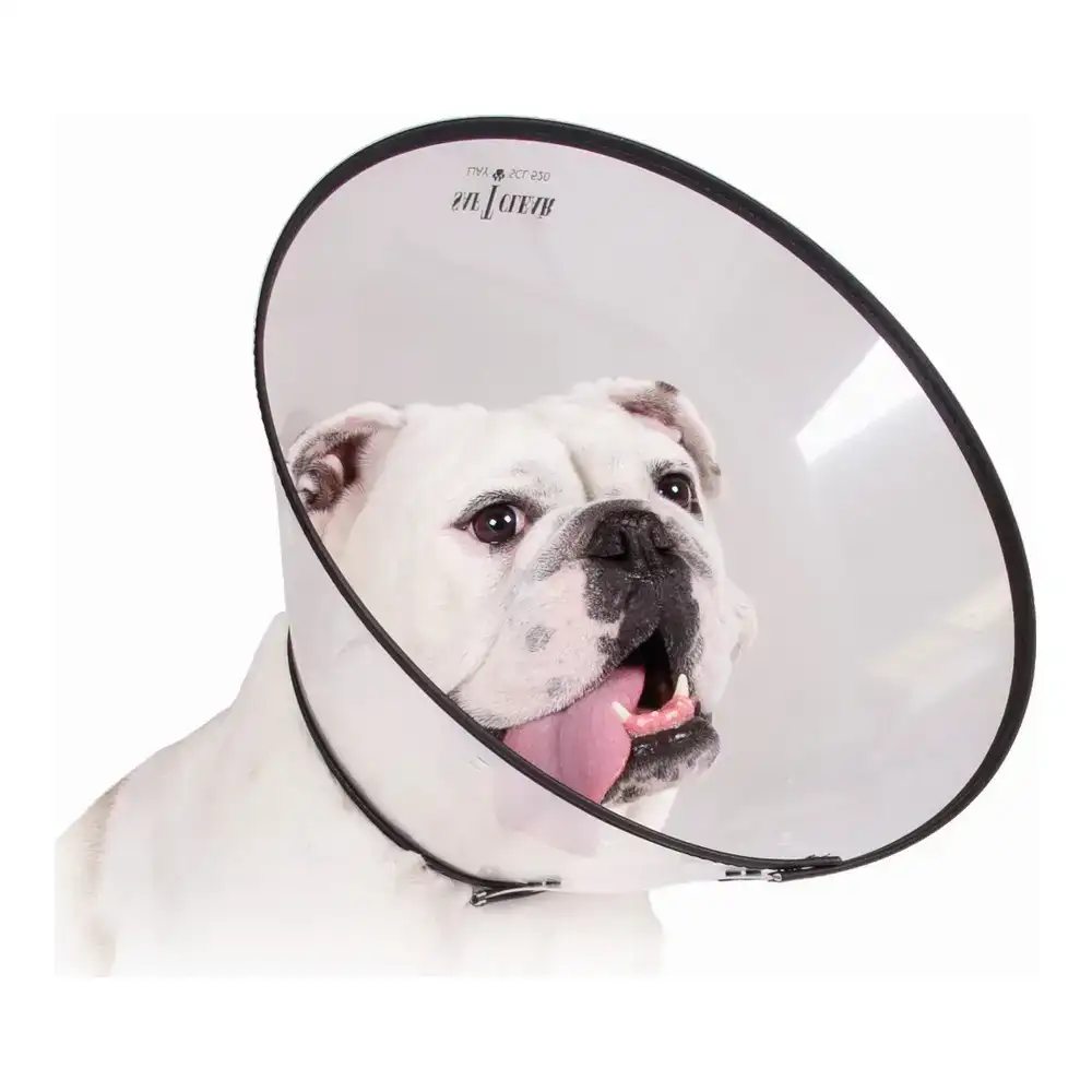 Collier de protection isabelino pour chiens kvp saf t clear transparent 30 53 cm _8662. Bienvenue chez DIAYTAR COTE D'IVOIRE - Votre Porte d'Accès à la Diversité. Découvrez notre boutique en ligne et choisissez parmi une pléthore d'articles qui célèbrent la richesse culturelle du Côte d'Ivoire et au-delà.
