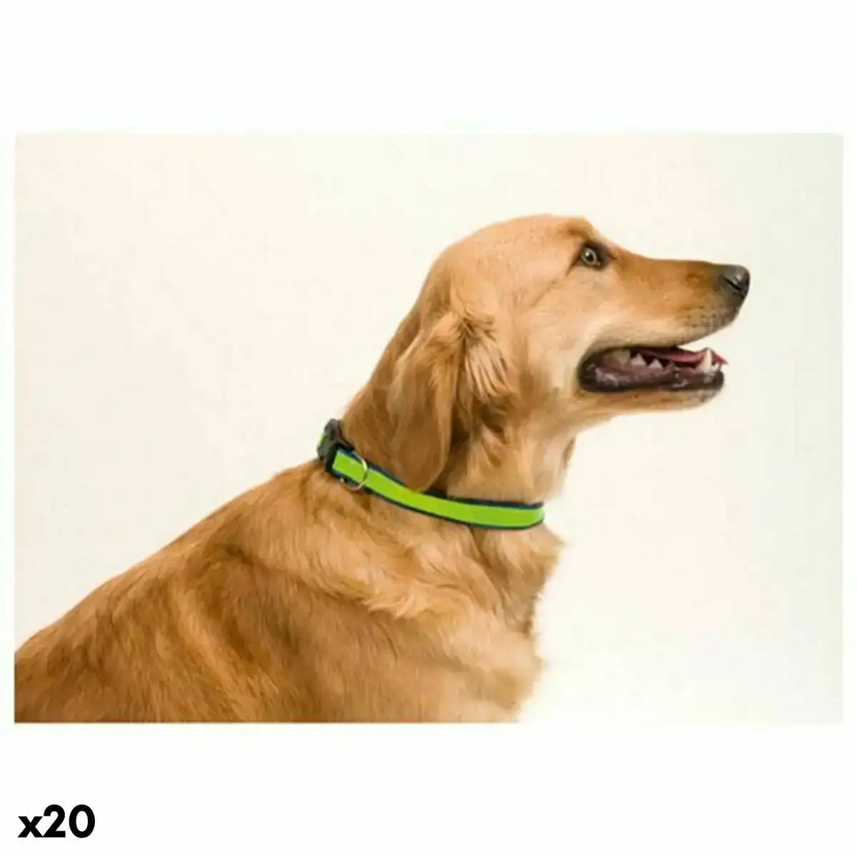 Collier pour chien 143063 20 unites _6264. DIAYTAR COTE D'IVOIRE - Où Choisir Devient un Plaisir. Découvrez notre boutique en ligne et choisissez parmi une variété de produits qui satisferont tous vos besoins.