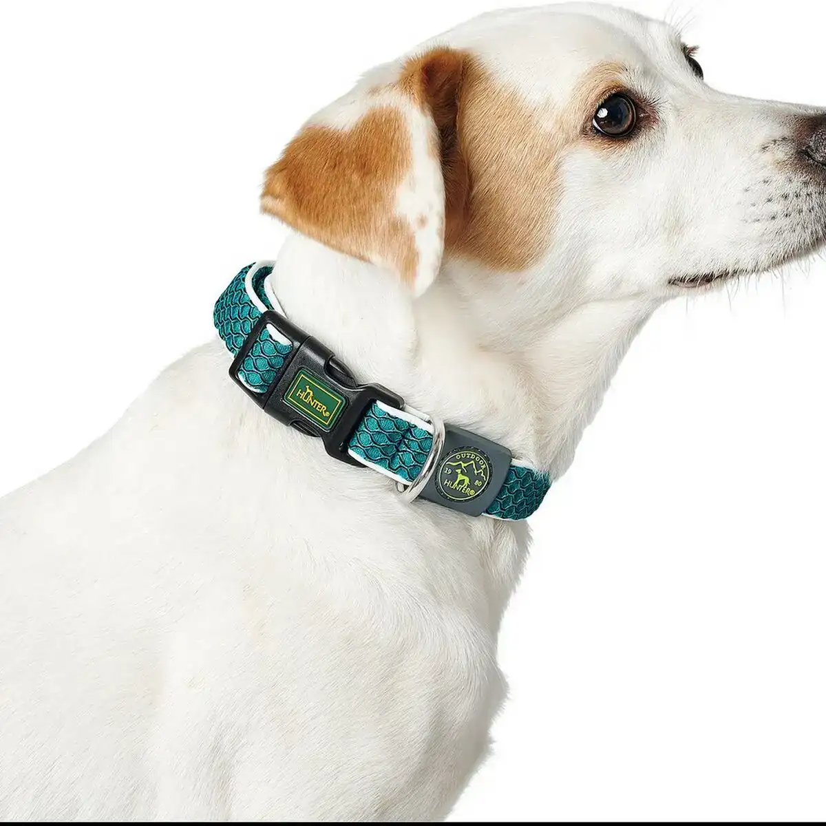 Collier pour chien hunter basic fil bleu taille m blue 33 50 cm _5708. Bienvenue chez DIAYTAR COTE D'IVOIRE - Où le Shopping Devient une Aventure. Découvrez notre collection diversifiée et explorez des produits qui reflètent la diversité du Côte d'Ivoire.