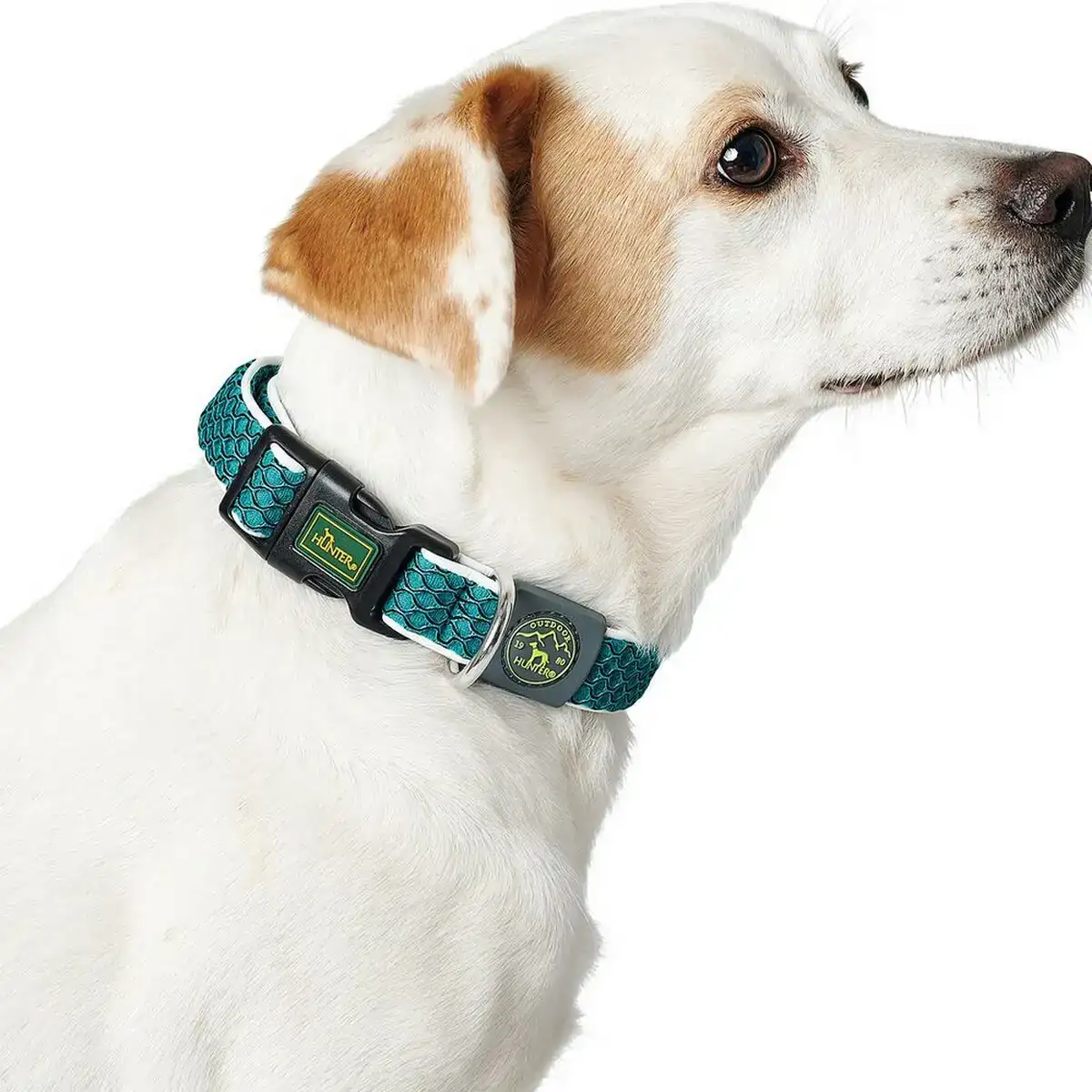 Collier pour chien hunter basic fil marron taille m brown 33 50 cm _8323. Bienvenue chez DIAYTAR COTE D'IVOIRE - Où Chaque Achat Fait une Différence. Découvrez notre gamme de produits qui reflètent l'engagement envers la qualité et le respect de l'environnement.