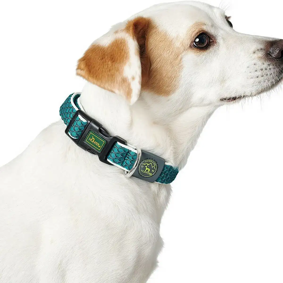 Collier pour chien hunter basic fil taille m citron 33 50 cm _9408. DIAYTAR COTE D'IVOIRE - Votre Source de Trésors Culturels. Naviguez à travers notre catalogue et trouvez des articles qui mettent en avant la richesse de la culture sénégalaise.