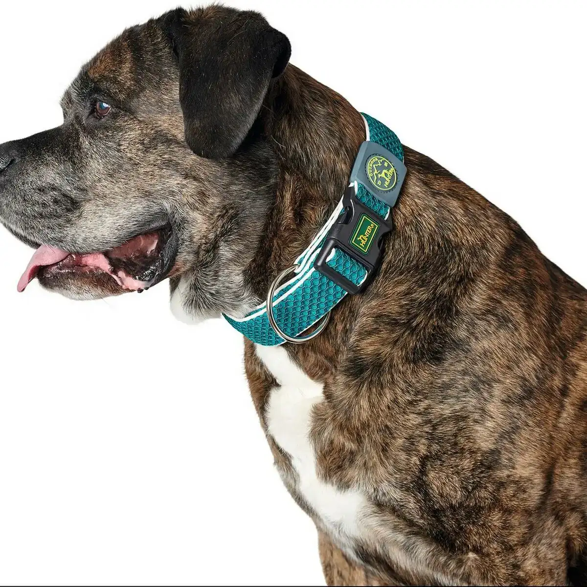 Collier pour chien hunter plus fil turquoise 11_4032. Bienvenue chez DIAYTAR COTE D'IVOIRE - Où Chaque Produit a son Âme. Découvrez notre gamme et choisissez des articles qui résonnent avec votre personnalité et vos valeurs.