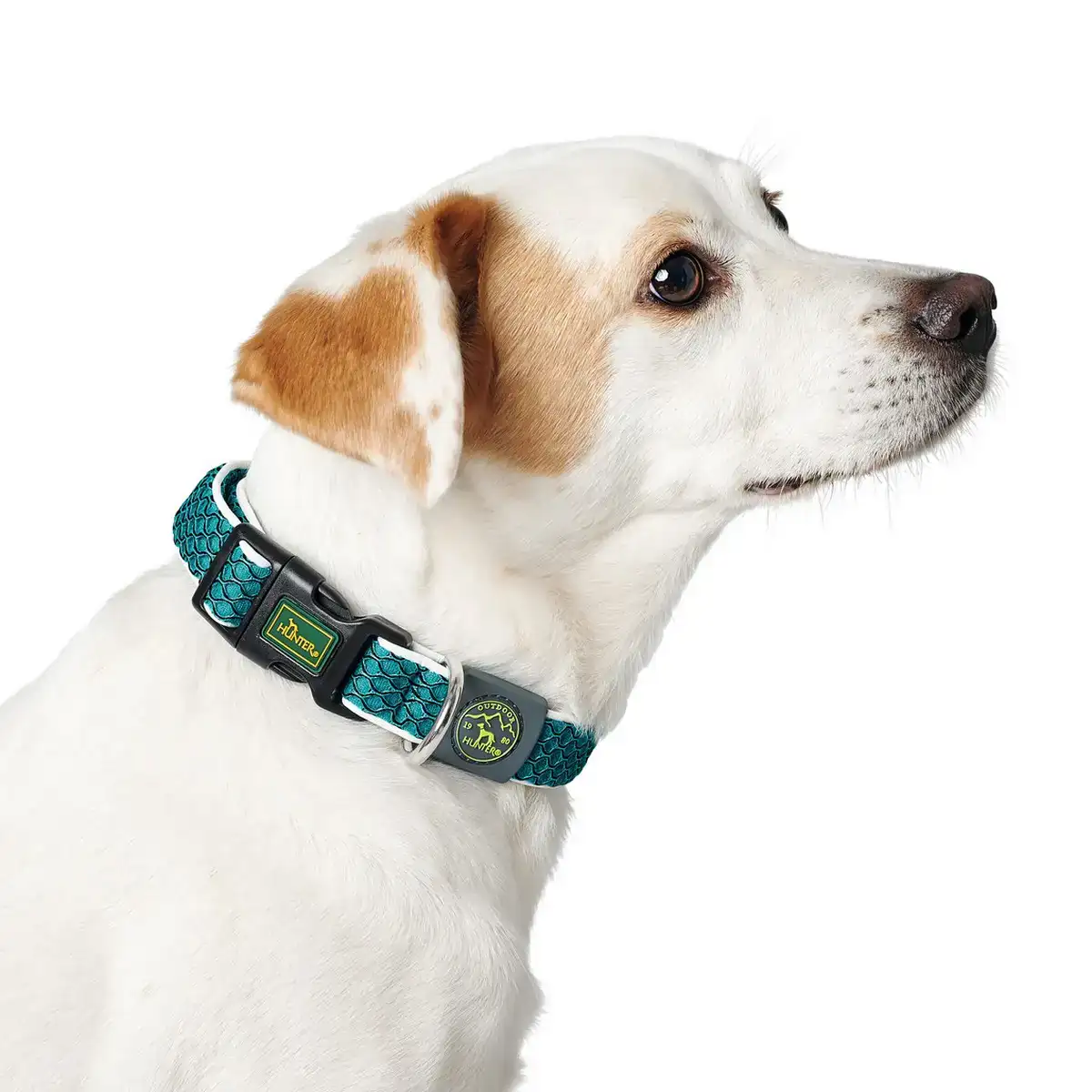 Collier pour chien hunter vario basic fils marron taille s 30 43 cm _3574. Bienvenue chez DIAYTAR COTE D'IVOIRE - Votre Porte d'Accès à la Diversité. Découvrez notre boutique en ligne et choisissez parmi une pléthore d'articles qui célèbrent la richesse culturelle du Côte d'Ivoire et au-delà.