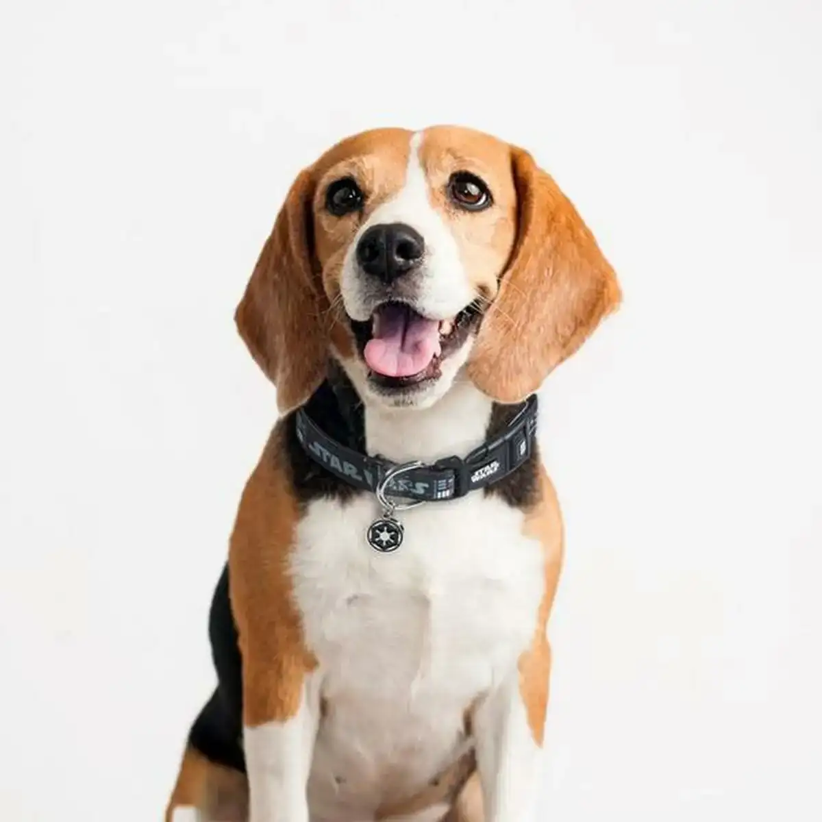 Collier pour chien star wars noir s m_2944. DIAYTAR COTE D'IVOIRE - Là où Chaque Produit Est une Trouvaille. Explorez notre sélection minutieuse et découvrez des articles qui correspondent à votre style de vie et à vos aspirations.