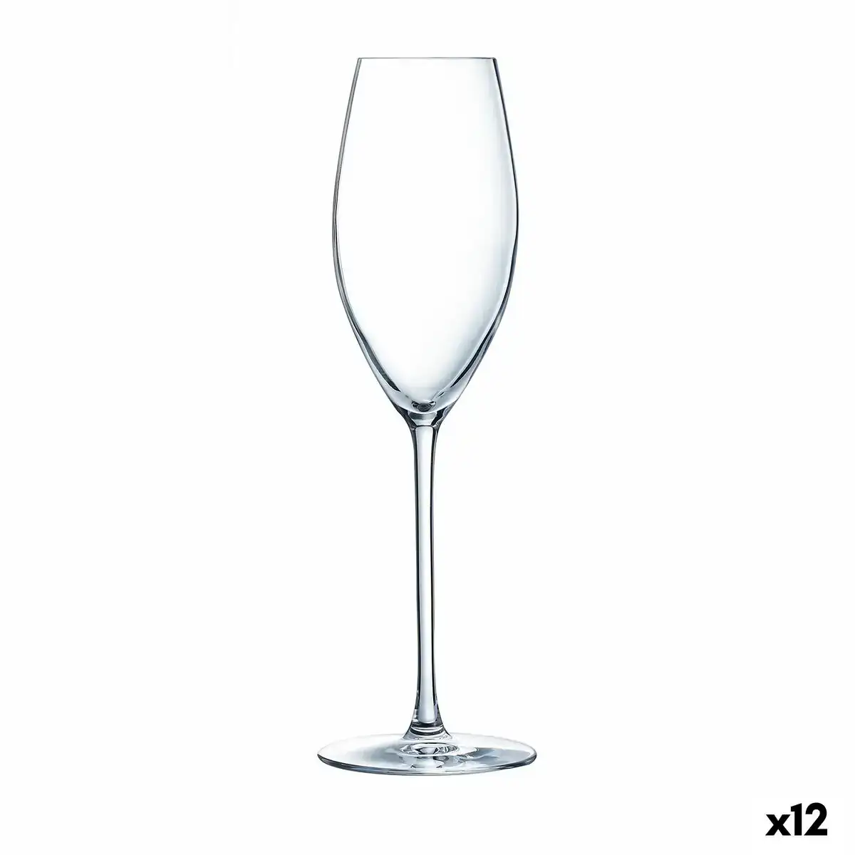 Coupe de champagne luminarc grand chais transparent verre 240 ml 12 unites _1560. Entrez dans l'Univers de DIAYTAR COTE D'IVOIRE - Où la Tradition S'unit à la Modernité. Explorez notre sélection pour trouver des produits qui allient héritage et innovation.