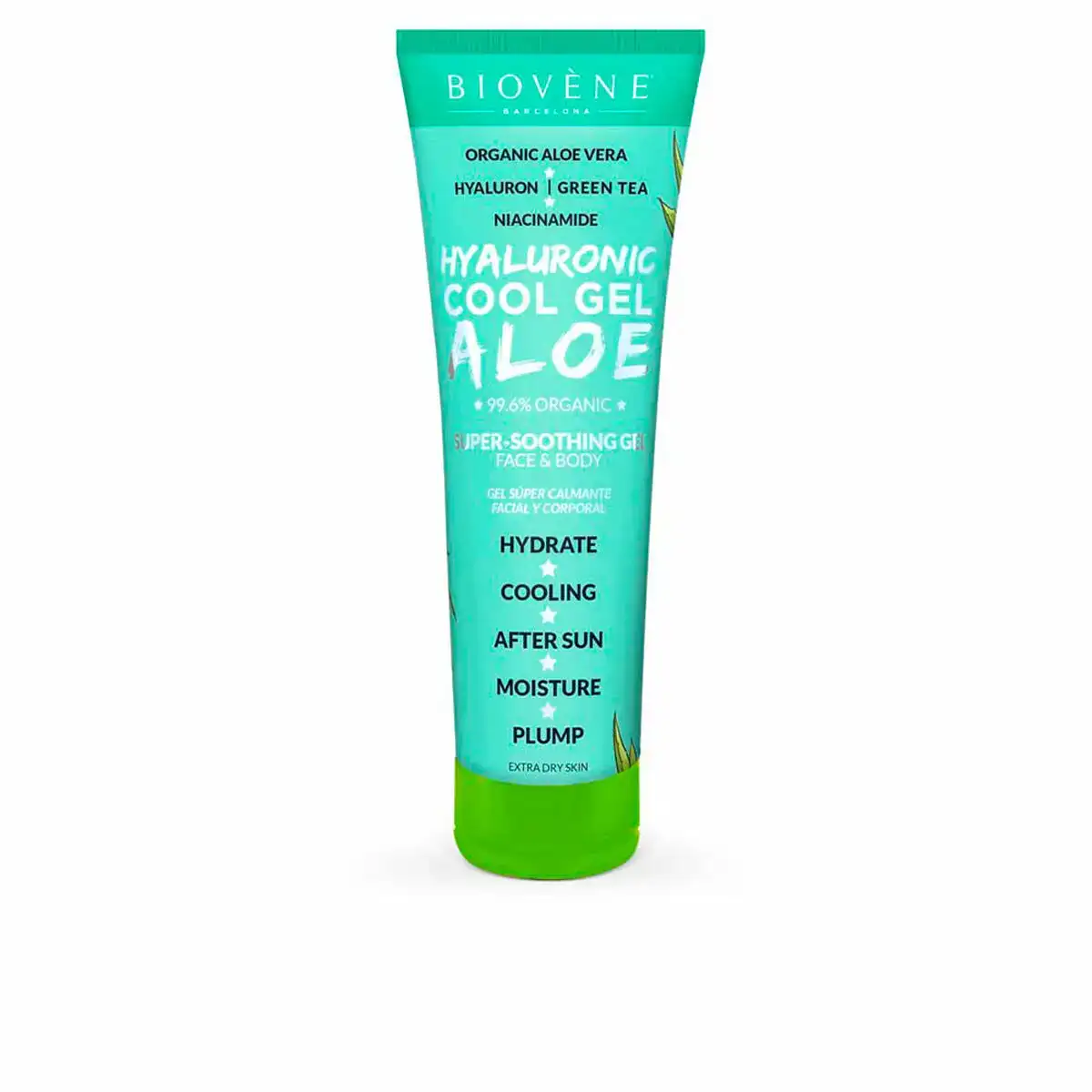Creme visage hyaluronic cool gel aloe 200 ml_2859. DIAYTAR COTE D'IVOIRE - Votre Passage vers le Raffinement. Plongez dans notre univers de produits exquis et choisissez des articles qui ajoutent une touche de sophistication à votre vie.