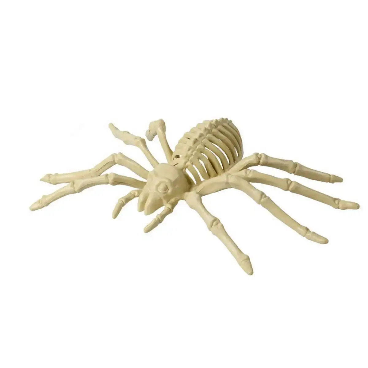Decoration d halloween araignee 24 x 12 cm_6834. DIAYTAR COTE D'IVOIRE - Votre Destination Shopping d'Exception. Parcourez nos rayons virtuels et choisissez des produits qui incarnent l'excellence et la diversité.