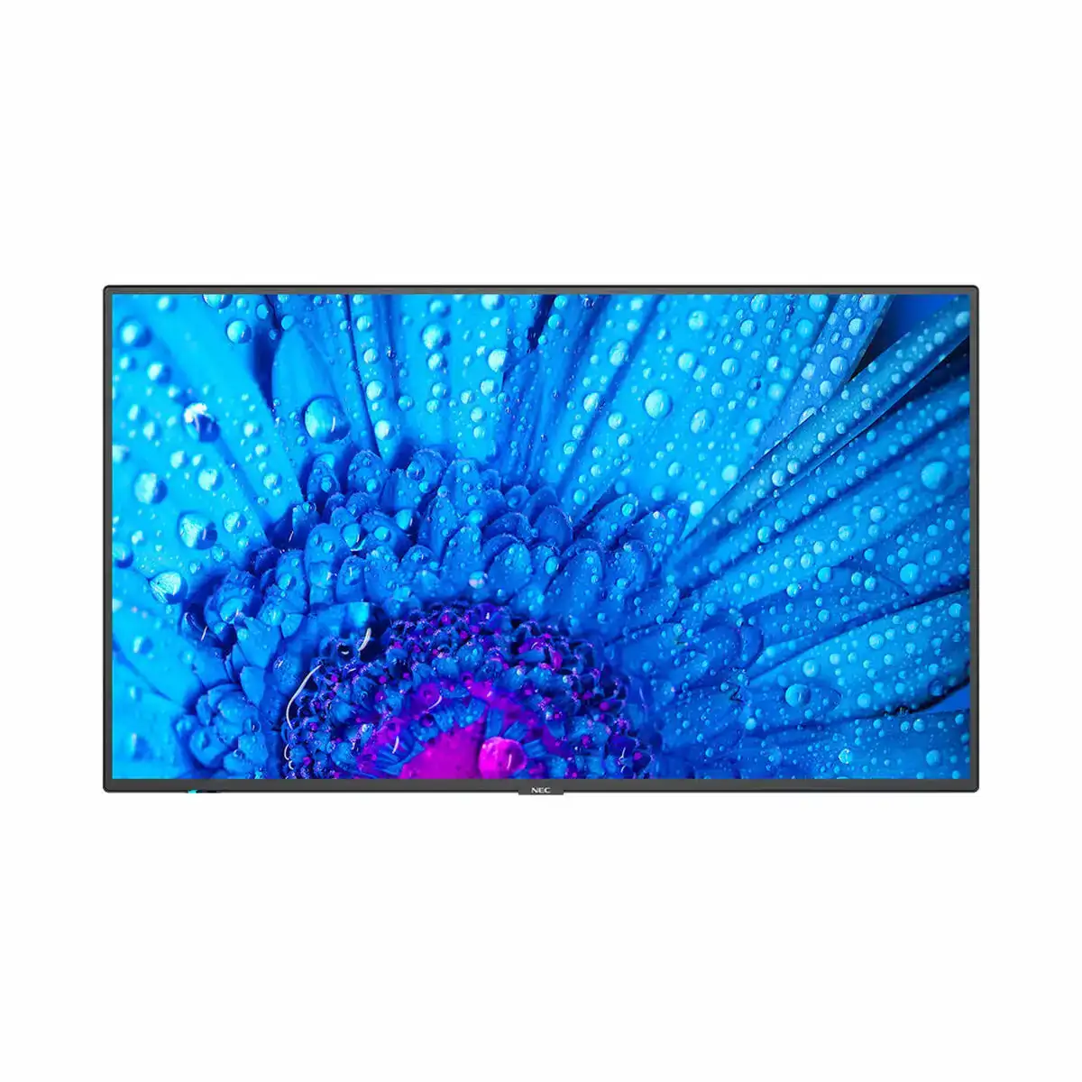 Ecran nec 60005061 65 ips d led 60 hz 50 60 hz 65 _2543. DIAYTAR COTE D'IVOIRE - Où Choisir est un Plaisir. Explorez notre boutique en ligne et choisissez parmi des produits de qualité qui satisferont vos besoins et vos goûts.