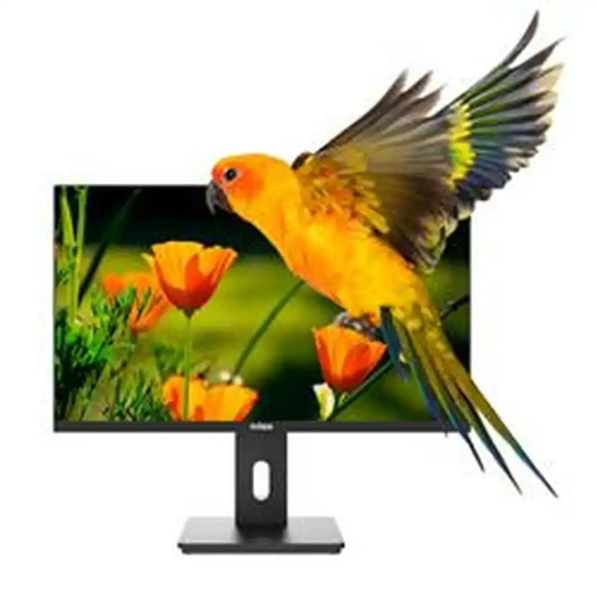 Ecran nilox nxm24reg02 24 _9405. DIAYTAR COTE D'IVOIRE - Là où Chaque Produit Évoque une Émotion. Parcourez notre catalogue et choisissez des articles qui vous touchent et qui enrichissent votre expérience.