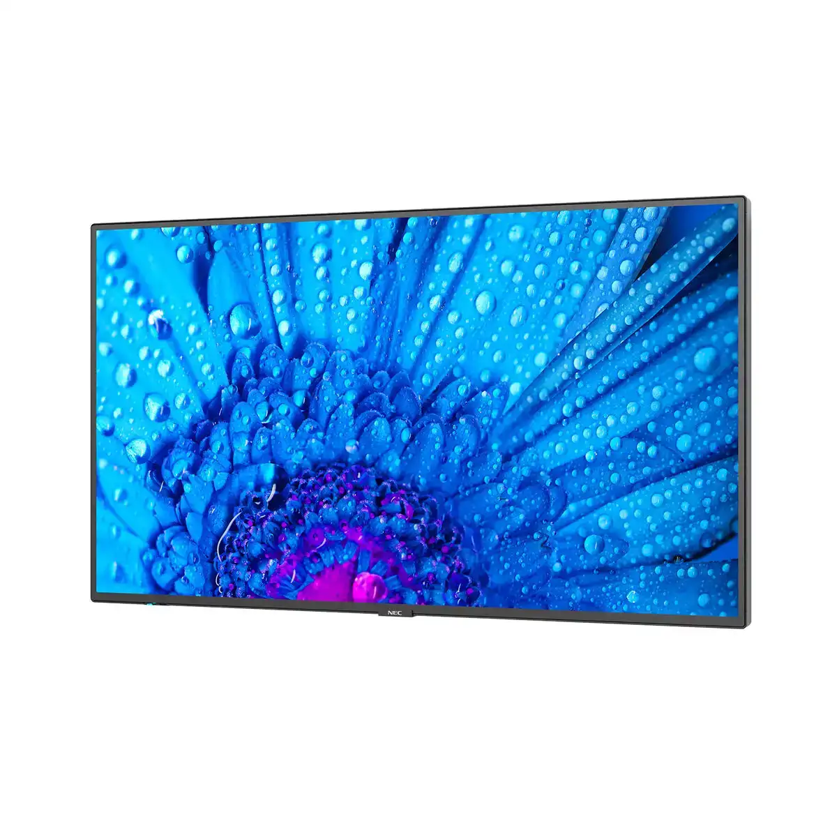 Ecran videowall nec 60005047 43 led ips edge led 60 hz 50 60 hz_9988. Bienvenue sur DIAYTAR COTE D'IVOIRE - Là où Chaque Objet a une Âme. Plongez dans notre catalogue et trouvez des articles qui portent l'essence de l'artisanat et de la passion.