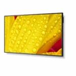 Ecran videowall nec me651 led 64 _8443. Bienvenue sur DIAYTAR COTE D'IVOIRE - Là où Chaque Objet a une Âme. Plongez dans notre catalogue et trouvez des articles qui portent l'essence de l'artisanat et de la passion.