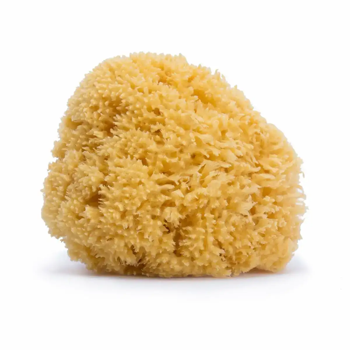 Eponge corporelle suavinex grand naturel_3036. DIAYTAR COTE D'IVOIRE - Votre Plateforme Shopping, Votre Choix Éclairé. Explorez nos offres et choisissez des articles de qualité qui reflètent votre style et vos valeurs.