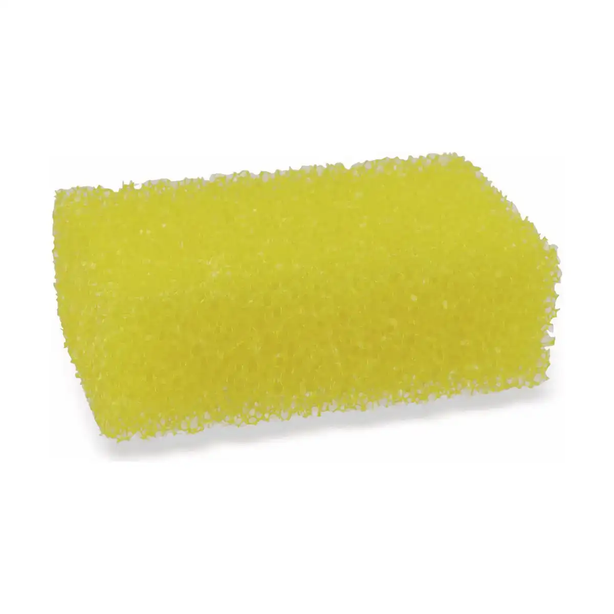 Eponge dunlop nettoyant pour insectes_9665. DIAYTAR COTE D'IVOIRE - Là où Chaque Clic Compte. Parcourez notre boutique en ligne et laissez-vous guider vers des trouvailles uniques qui enrichiront votre quotidien.