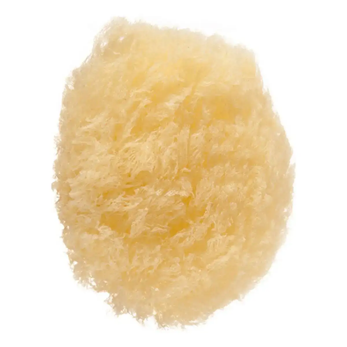 Eponge faciale eurostil natural desmaquillaje_7093. DIAYTAR COTE D'IVOIRE - L'Art de Vivre le Shopping Authentique. Découvrez notre boutique en ligne et trouvez des produits qui incarnent la passion et le savoir-faire du Côte d'Ivoire.