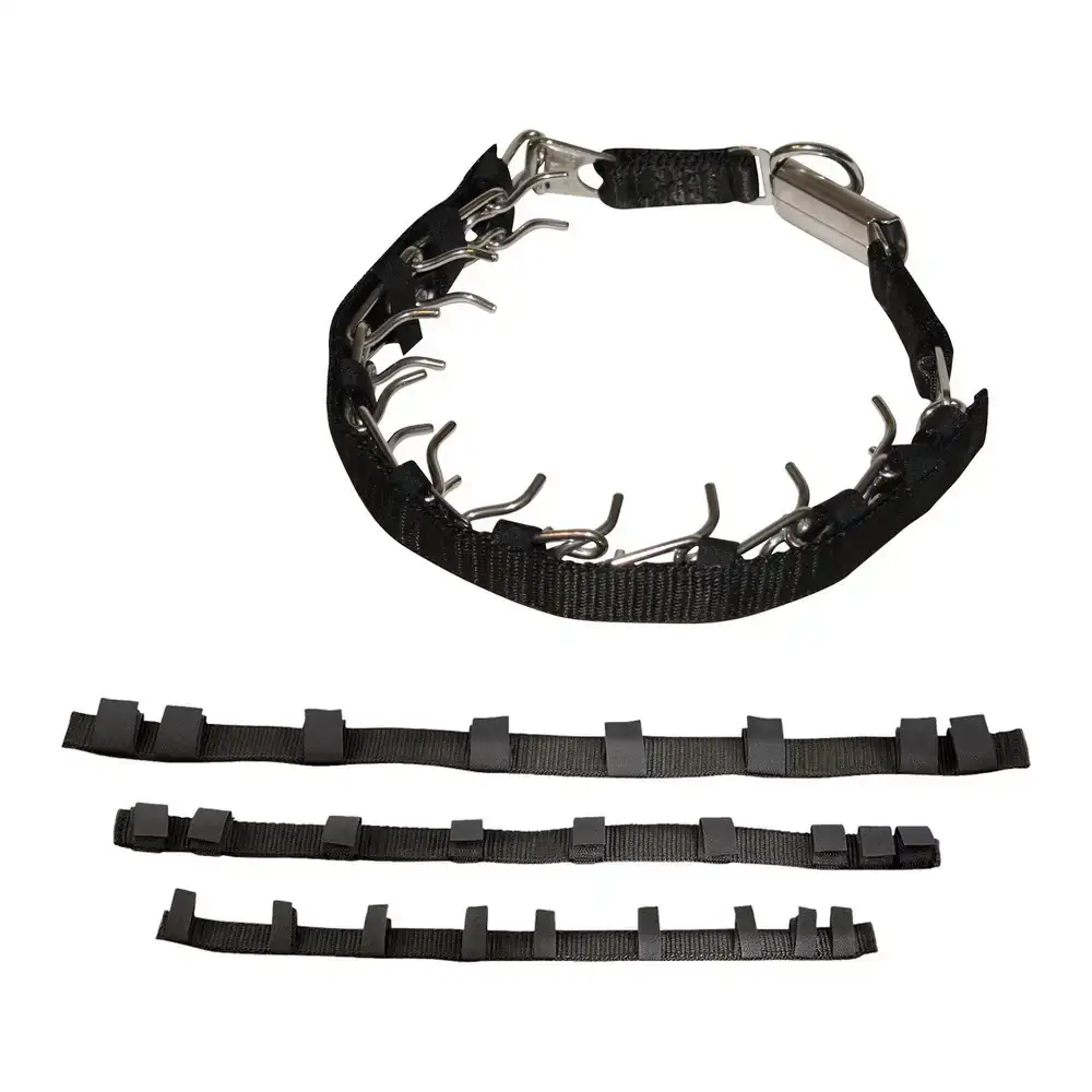 Etui hs sprenger 36 x 2 cm collier pour chien_7197. DIAYTAR COTE D'IVOIRE - Là où la Qualité est Non Négociable. Parcourez notre boutique en ligne pour découvrir des produits qui incarnent le raffinement et l'excellence du Côte d'Ivoire.