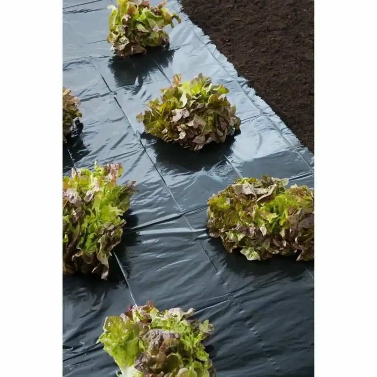 Filet contre les mauvaises herbes nature_3412. Bienvenue chez DIAYTAR COTE D'IVOIRE - Où le Shopping Rime avec Diversité. Plongez dans notre univers de produits et découvrez des trésors qui représentent la richesse culturelle du Côte d'Ivoire.