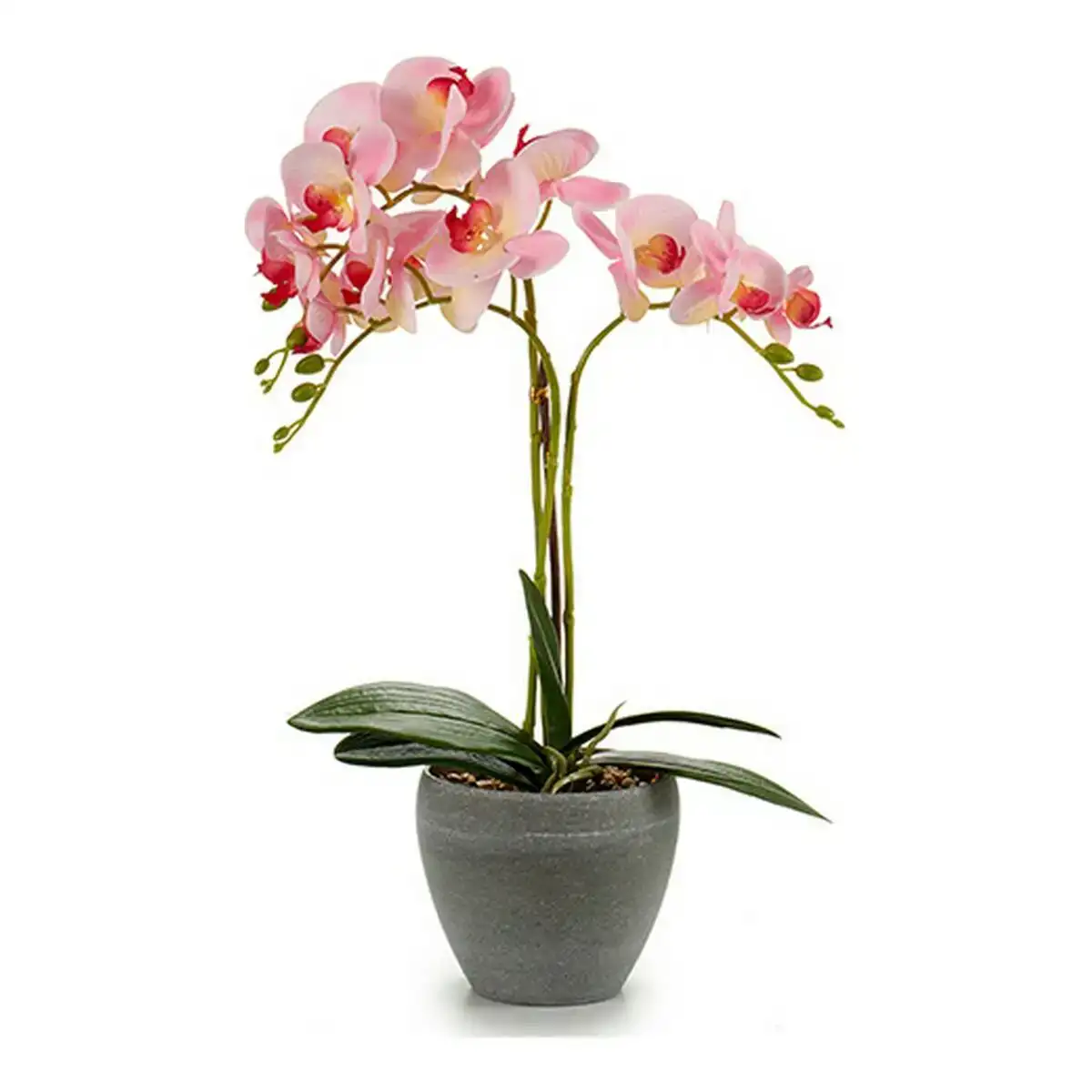 Fleurs decoratives 8430852552570 plastique pot 25 x 50 x 36 cm _4379. DIAYTAR COTE D'IVOIRE - Là où la Qualité est Non Négociable. Parcourez notre boutique en ligne pour découvrir des produits qui incarnent le raffinement et l'excellence du Côte d'Ivoire.