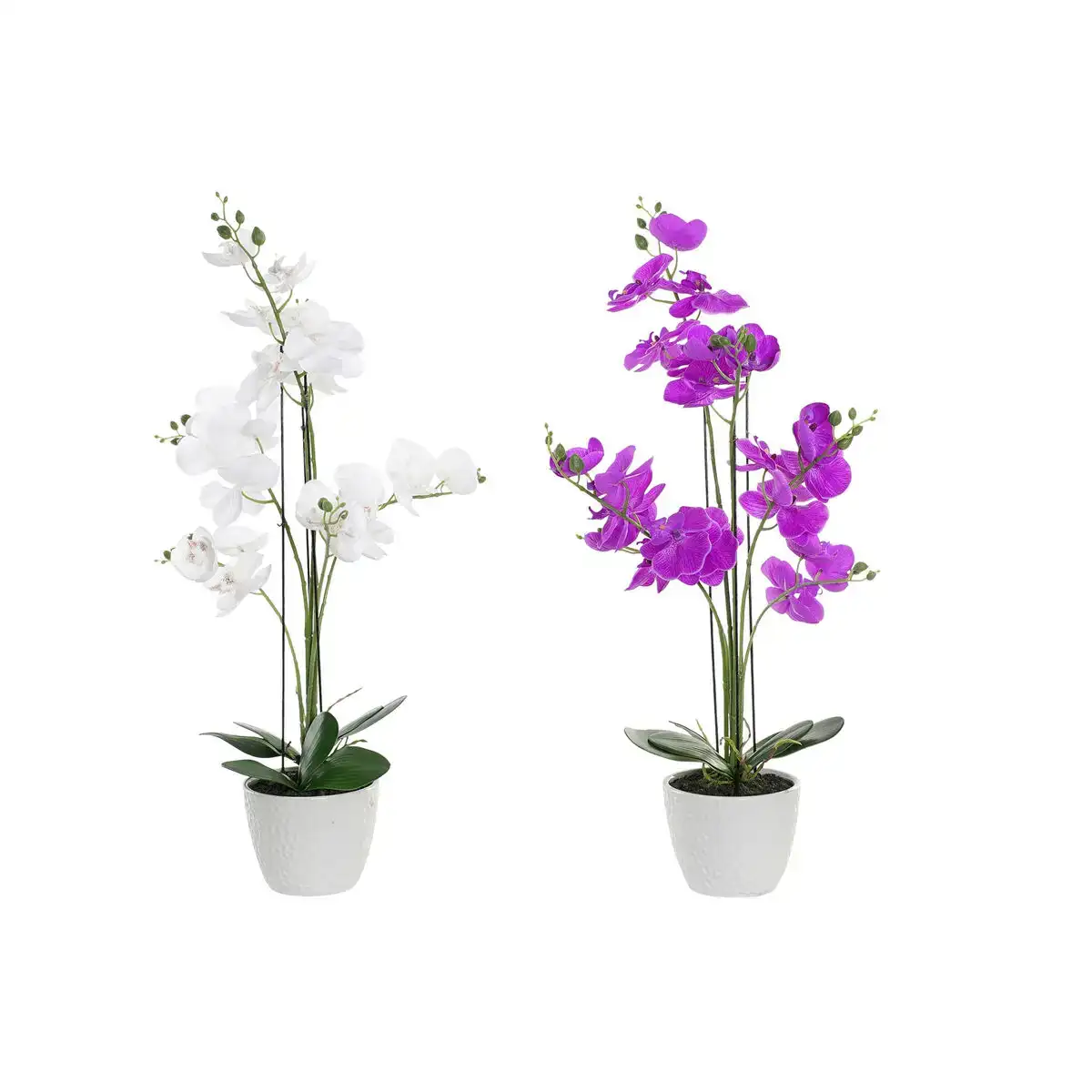 Fleurs decoratives dkd home decor 44 x 27 x 77 cm lila blanc vert orchidee 2 unites _6956. Plongez dans l'Expérience DIAYTAR COTE D'IVOIRE - Où Chaque Produit a une Histoire. Explorez notre boutique en ligne pour trouver des articles qui incarnent la passion et la créativité du Côte d'Ivoire.