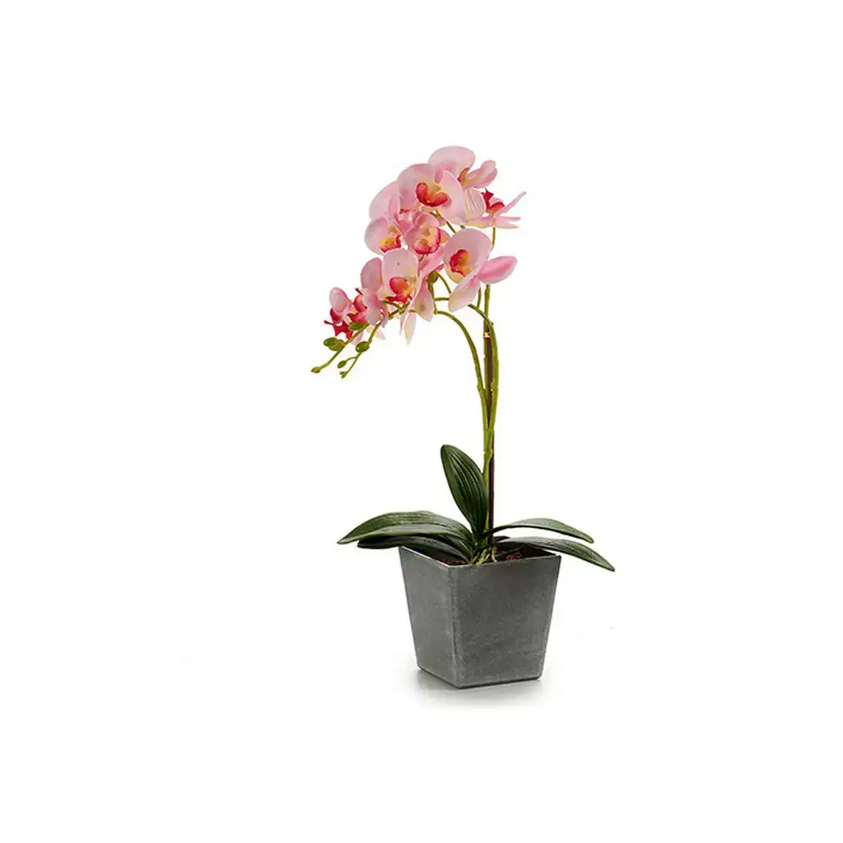 Fleurs decoratives orchidee plastique pot gris 18 x 53 x 28 cm _7849. DIAYTAR COTE D'IVOIRE - Votre Source de Trésors Culturels. Naviguez à travers notre catalogue et trouvez des articles qui mettent en avant la richesse de la culture sénégalaise.