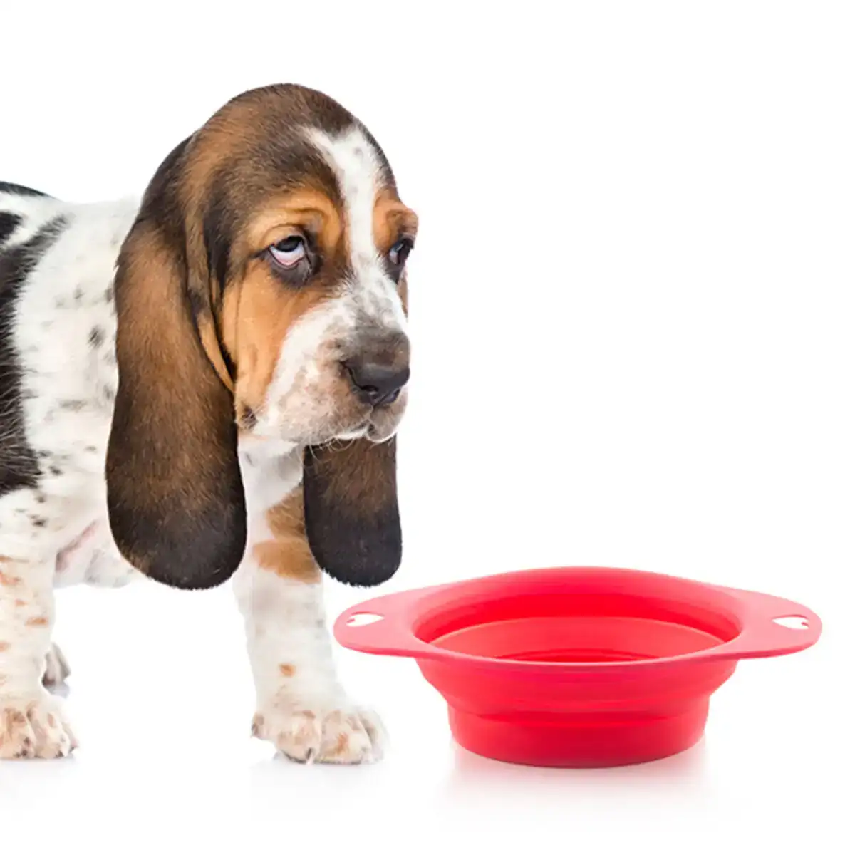 Gamelle pliable pour animaux domestiques heart_4103. DIAYTAR COTE D'IVOIRE - Votre Passage vers le Raffinement. Plongez dans notre univers de produits exquis et choisissez des articles qui ajoutent une touche de sophistication à votre vie.