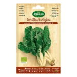 Graines agreen acelga ecologique_1258. DIAYTAR COTE D'IVOIRE - Votre Portail Vers l'Élégance Accessible. Parcourez notre boutique en ligne pour découvrir des produits qui incarnent le luxe à des prix abordables.