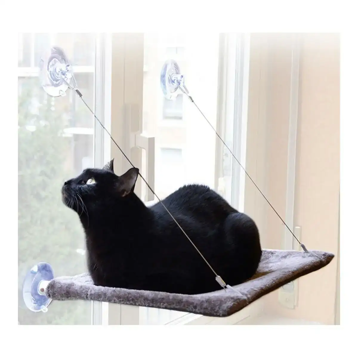 Hamac suspendu pour chats united pets 37 x 47 cm _1876. DIAYTAR COTE D'IVOIRE - Où Choisir Devient une Découverte. Explorez notre boutique en ligne et trouvez des articles qui vous surprennent et vous ravissent à chaque clic.