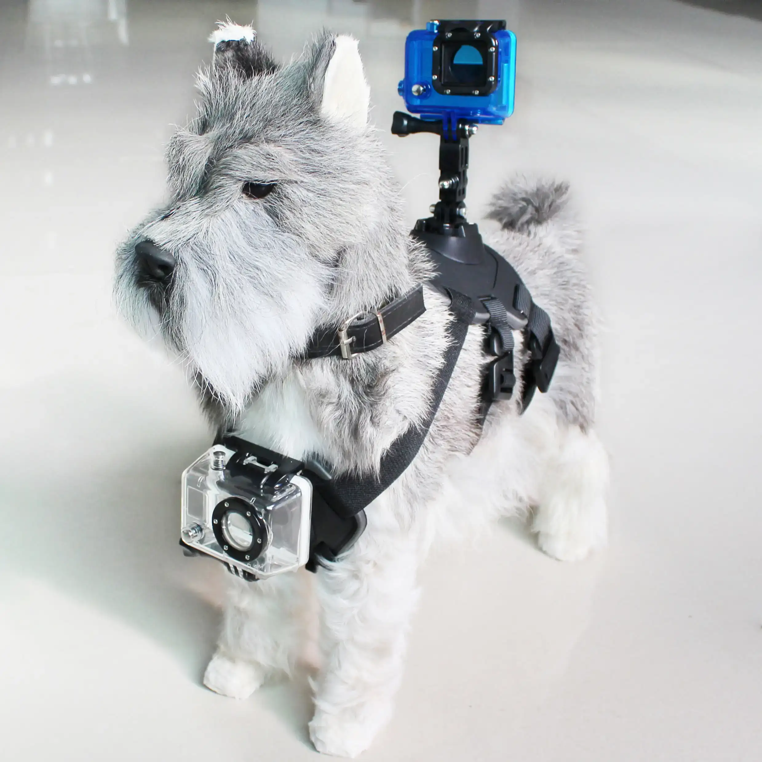 Harnais pour animaux domestiques avec support pour camera de pport ksix noir_7735. DIAYTAR COTE D'IVOIRE - Votre Plateforme pour un Shopping Inspiré. Explorez nos offres variées et découvrez des articles qui stimulent votre créativité et embellissent votre vie.