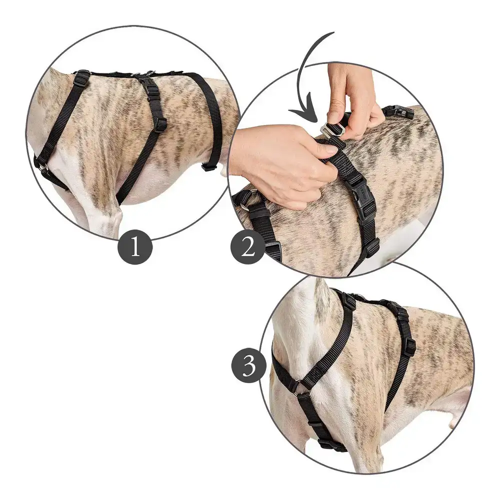 Harnais pour chien hunter 38 52 cm marron noir xs s_3947. DIAYTAR COTE D'IVOIRE - Votre Destination pour un Shopping Éclairé. Parcourez notre boutique en ligne pour découvrir des produits de qualité qui embelliront votre quotidien.