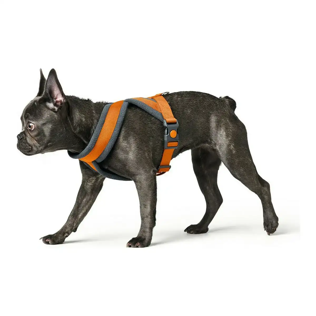 Harnais pour chien hunter london comfort 48 56 cm orange taille s m_3026. DIAYTAR COTE D'IVOIRE - L'Art de Vivre l'Élégance Accessible. Parcourez notre gamme variée et choisissez des produits qui ajoutent une touche de sophistication à votre style.