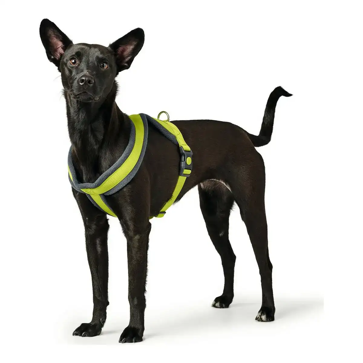 Harnais pour chien hunter london comfort xs s 39 47 cm citron_6846. Bienvenue chez DIAYTAR COTE D'IVOIRE - Où le Shopping Devient un Voyage. Explorez notre plateforme pour dénicher des produits uniques, racontant l'histoire et l'âme du Côte d'Ivoire.