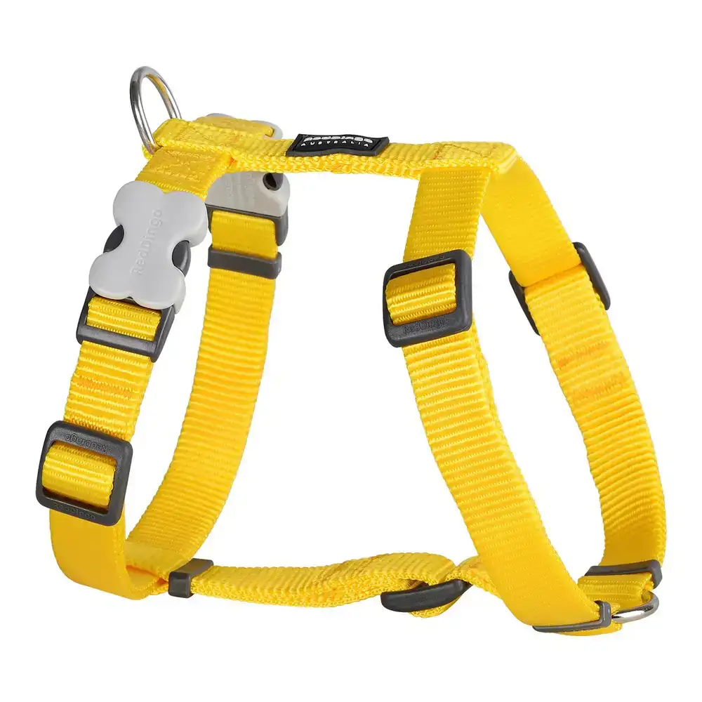 Harnais pour chien red dingo lisse 37 61 cm jaune_7643. DIAYTAR COTE D'IVOIRE - Où Chaque Achat Raconte une Histoire. Explorez notre boutique en ligne et créez votre propre narration à travers notre diversité de produits, chacun portant une signification unique.