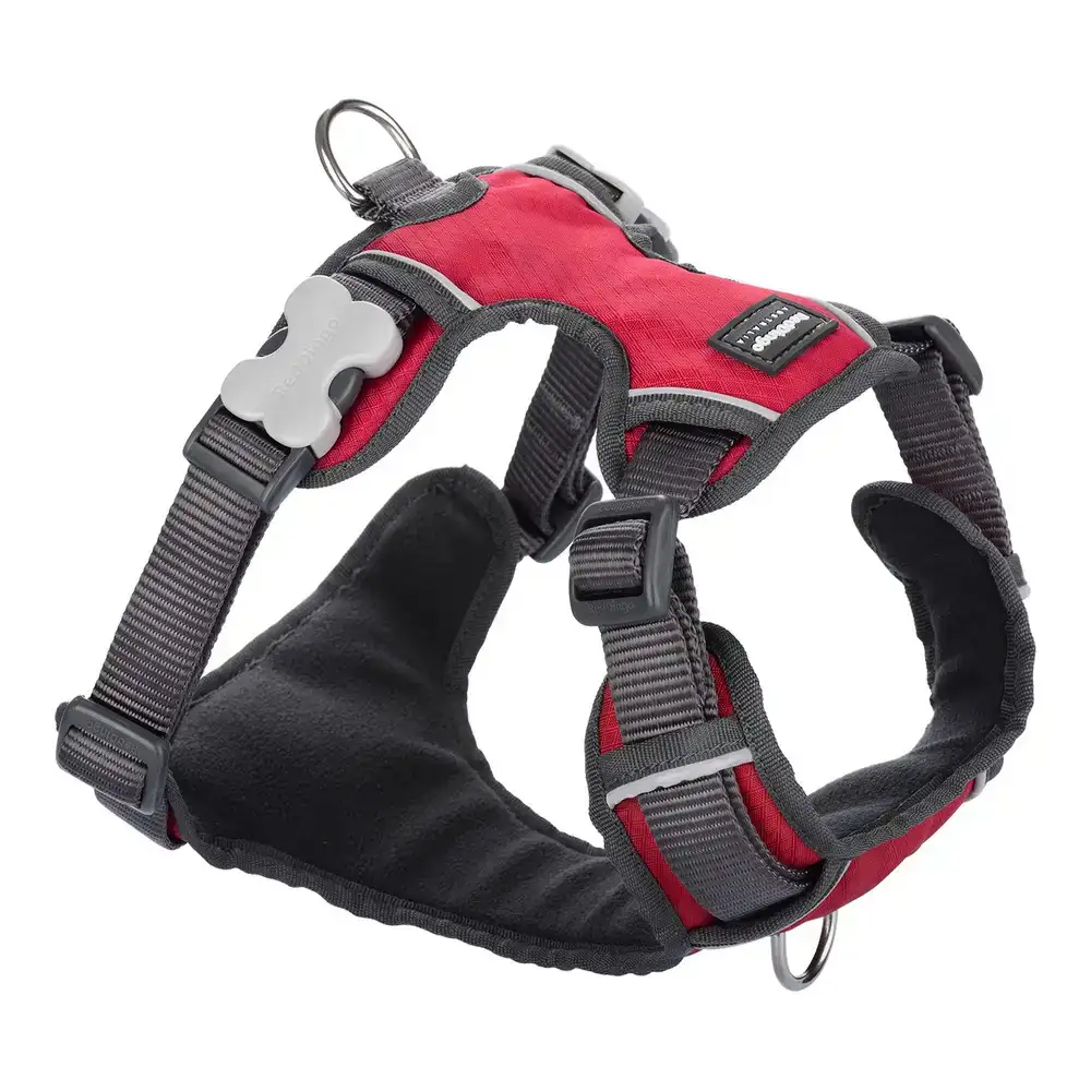 Harnais pour chien red dingo rembourre rouge taille l_2201. DIAYTAR COTE D'IVOIRE - Votre Plateforme Shopping Engagée. Explorez notre catalogue et choisissez des produits qui reflètent notre dévouement envers la qualité et la satisfaction du client.