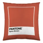 Housse de coussin fun deck c pantone localization b086jqknth reversible 50 x 50 cm _8083. DIAYTAR COTE D'IVOIRE - Là où l'Élégance Devient un Mode de Vie. Naviguez à travers notre gamme et choisissez des produits qui apportent une touche raffinée à votre quotidien.