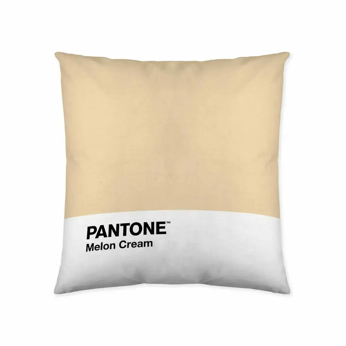 Housse de coussin melon cream pantone 63836415 50 x 50 cm _5062. DIAYTAR COTE D'IVOIRE - Votre Destination Shopping Éthique. Parcourez notre gamme et choisissez des articles qui respectent l'environnement et les communautés locales.