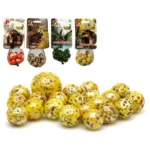 Jeu de billes dinosaur_8801. DIAYTAR COTE D'IVOIRE - Où le Shopping Devient une Aventure Culturelle. Plongez dans notre univers de produits qui célèbrent l'héritage et l'artisanat du Côte d'Ivoire.