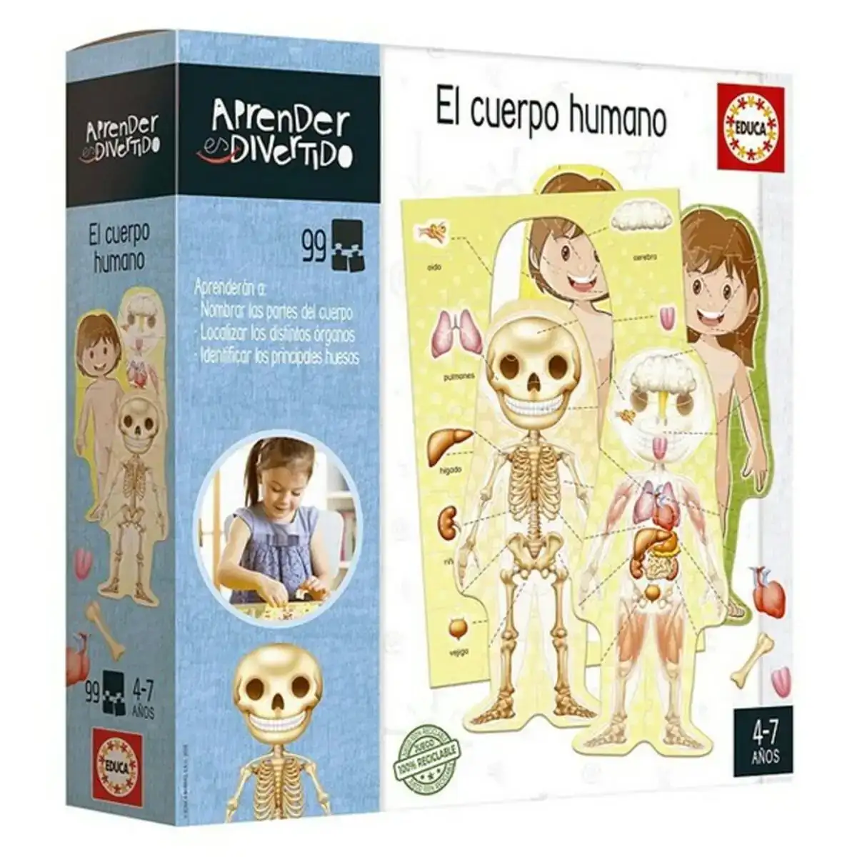 Jouet educatif el cuerpo humano educa 18701 es _9657. DIAYTAR COTE D'IVOIRE - Là où Chaque Produit a son Histoire. Découvrez notre gamme de produits, chacun portant en lui le récit de l'artisanat et de la passion, pour vous offrir une expérience de shopping authentique.