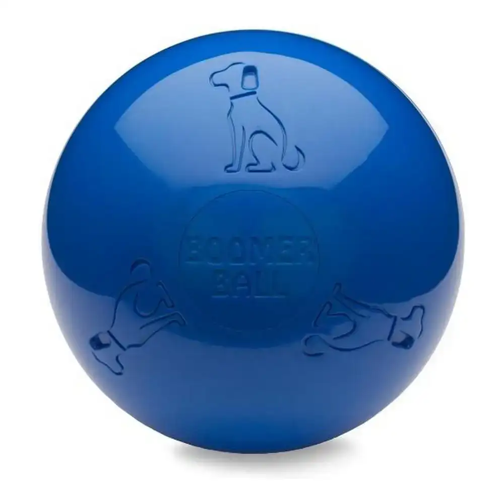 Jouet pour chien company of animals boomer bleu 200mm _2173. DIAYTAR COTE D'IVOIRE - L'Univers de l'Élégance Accessible. Plongez dans notre catalogue et choisissez des produits qui allient sophistication et accessibilité pour un shopping exquis.